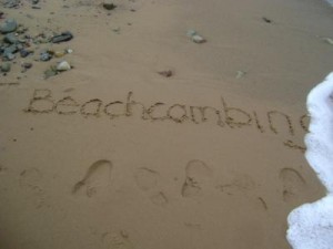 beachcombing PEI